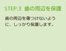 STEP3 歯の周辺を保護